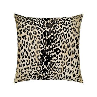 Elaine Smith Wild One Onyx