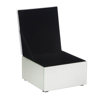 Glass / Wood 5" Zebra Storage Box, White