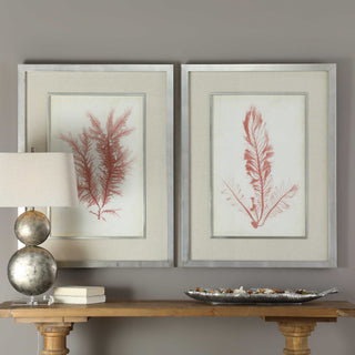 Coral Sea Feathers Framed Prints