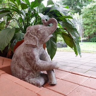 Trumpeting Elephant