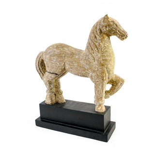 Chincoteague Pony