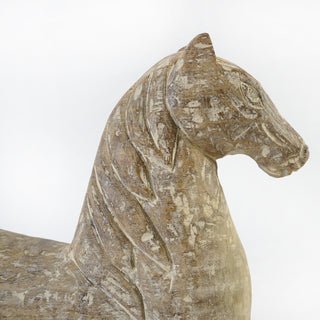 Chincoteague Pony